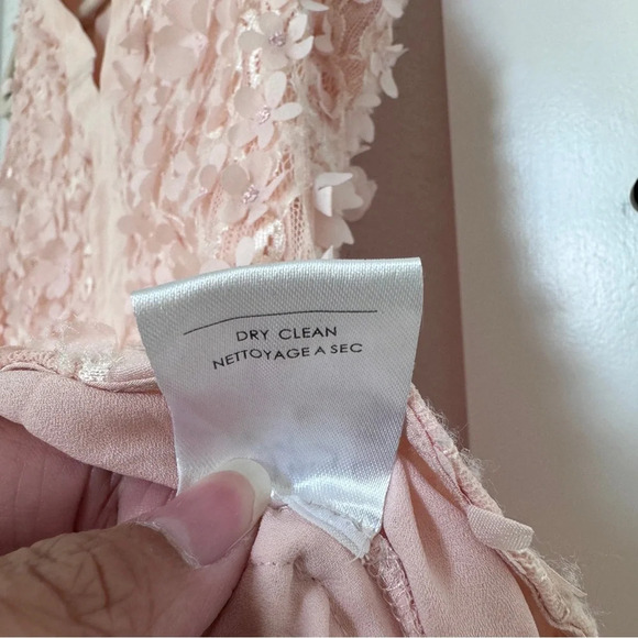 Badgley Mishka 3D Flower Embellished Floral Applique Baby Pink Lace Top Size 10 - Picture 11 of 13